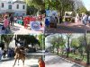 Canciones, jinetes, arte y toda la primavera durante los festejos del Centenario